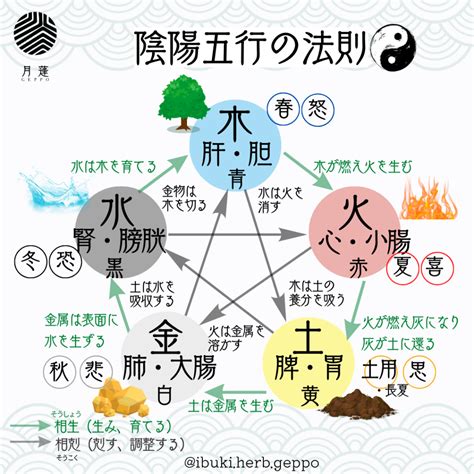 陰陽法則|陰陽五行とは？その影響や太極図も解説